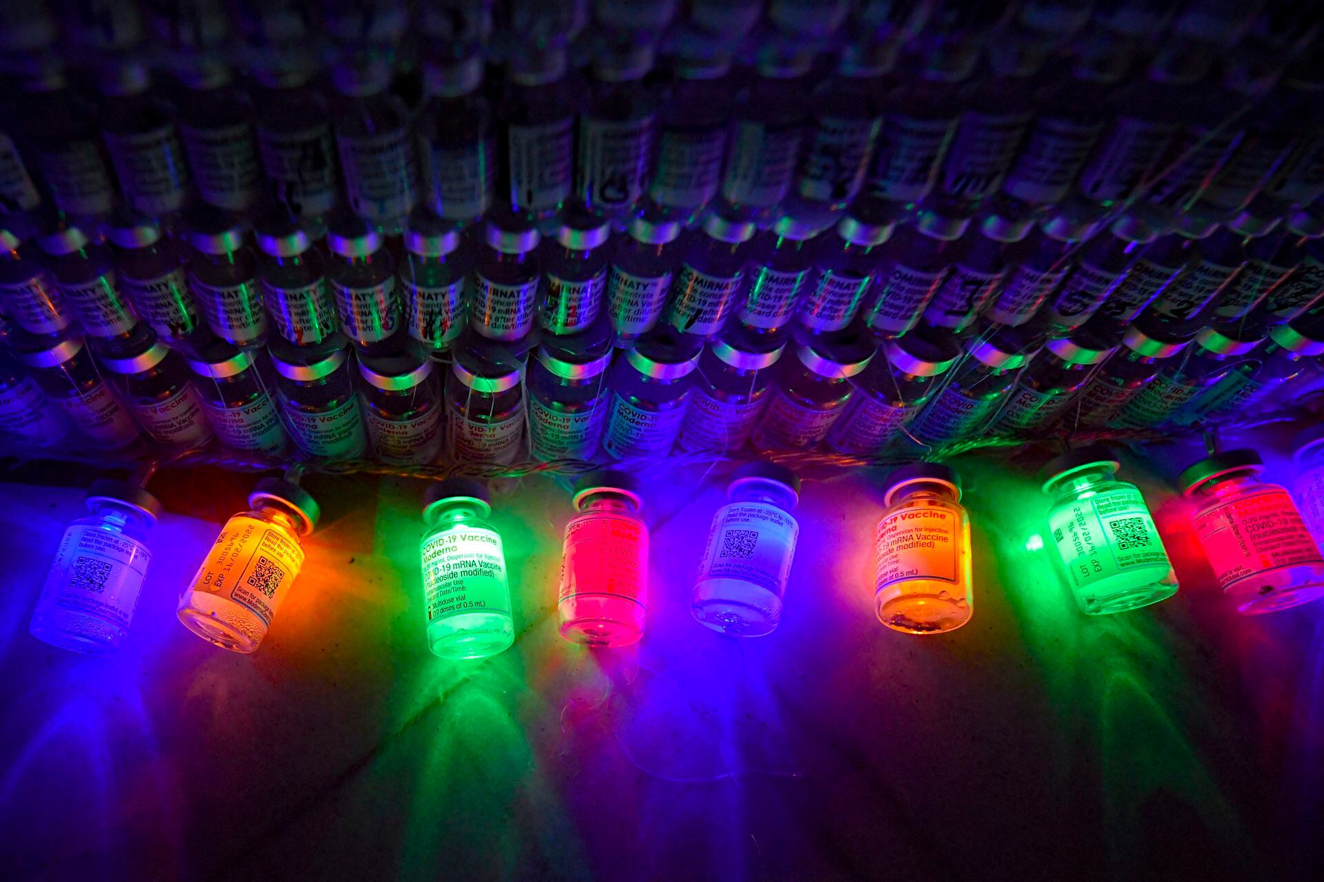 Los LED colocados dentro de los contenedores de vacunas COVID-19 brillan junto al árbol de Navidad