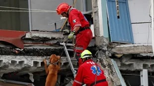 Un equipo de rescate busca sobrevivientes entre los escombros, ayer, en la capital