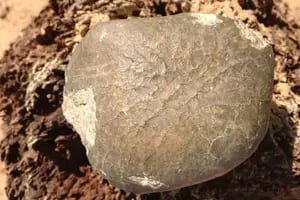 Descubren un nuevo mineral en un meteorito que cayó de la Luna