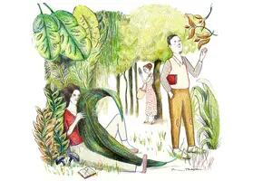 Literatura: del silencio de un jardín a la palabra poética