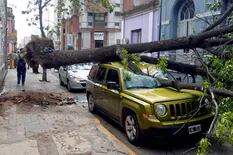 Alerta meteorológica en la ciudad de Buenos Aires y 12 provincias por vientos