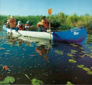 La navegación en la Laguna Iberá es una de las mejores maneras de avistar la fauna de los esteros.