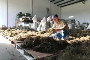 Dónde se elabora el primer fernet 100% nacional, libre de gluten y orgánico