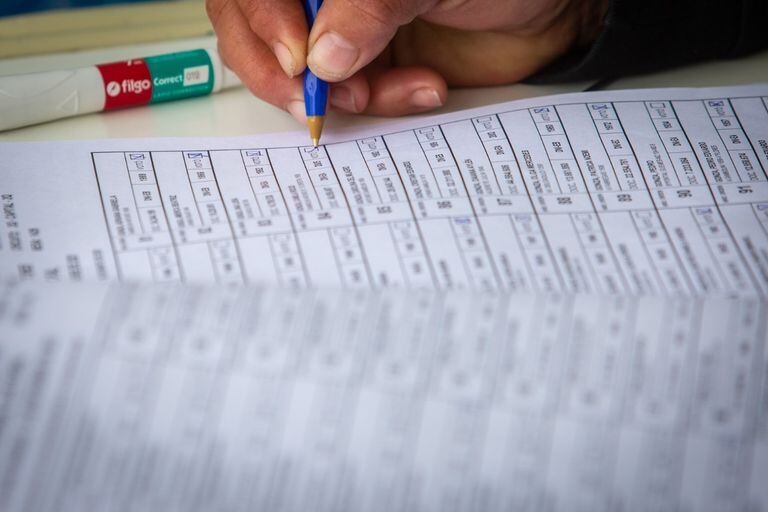 El padrón electoral definitivo ya está disponible para los votantes de Santa Fe y el resto del país
