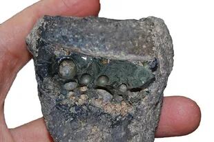 La imagen muestra escoria adherida al costado de una pieza de un crisol. El elemento fue encontrado en el sitio de Chahak, en el sur de Irán