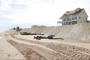 Máquinas bulldozer, en pleno trabajo con arena en Flagler Beach