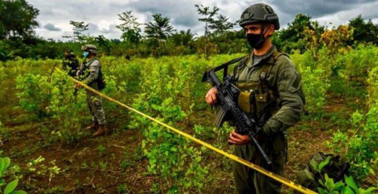 La industria de la cocaína sigue siendo uno de los principales enemigos del gobierno colombiano
