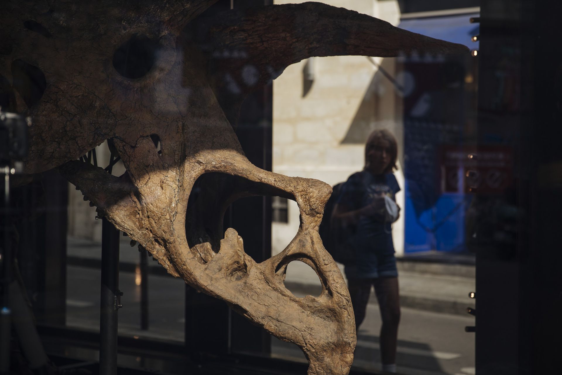 La gente pasa junto a Big John, el esqueleto de triceratops más grande conocido mientras lo ensamblan en una sala de exposición en París, hoy martes 31 de agosto de 2021
