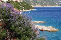 Hvar: así es la paradisíaca isla de Croacia que huele a lavanda