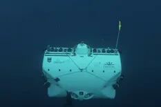 Ciencia: descienden hasta las profundidades del mar y se llevan una sorpresa
