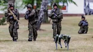 Los perros robot pueden llevar acoplado armamento.