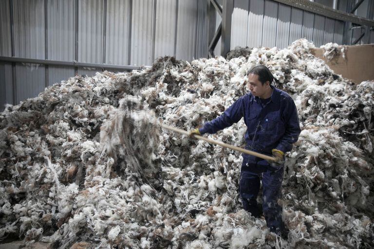 En la planta de Abra Pampa, donde hacen el acopio de la lana.