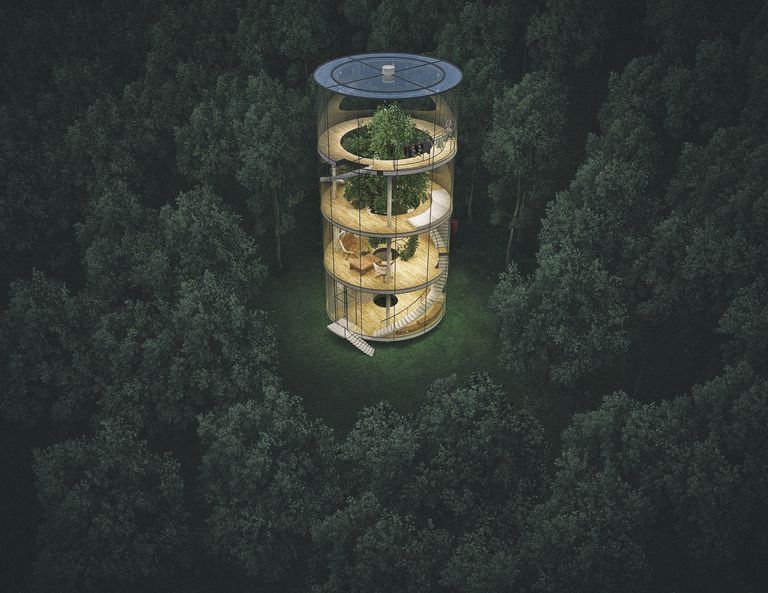Esta casa es toda de vidrio y fue construida alrededor de un árbol en medio de un bosque