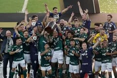 Palmeiras, campeón de la Libertadores: le ganó a Santos en tiempo de descuento