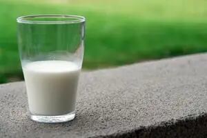 Una firma líder discontinúa una leche en el país y los tamberos advierten que peligra la línea orgánica