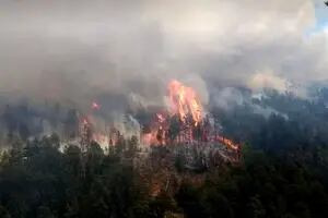 Ya se quemaron 100 hectáreas: cuál es la hipótesis que manejan los investigadores