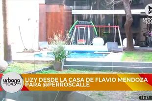 El amplio jardín, la pileta, los juegos de Dionisio y el gimnasio trasero se ven desde el living de Flavio Mendoza
