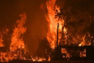 Más de 460.000 hectáreas fueron arrasadas por las llamas al norte de Sidney.