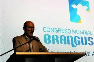El Congreso Mundial Brangus se hará en octubre de 2021