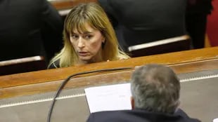 Di Tullio pidió escuchar a los gremios y al Senado antes de la sesión del miércoles por la ley antidespidos