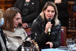 La senadora nacional Carolina Losada (Santa Fe) reclamó un plan de seguridad integral para frenar la violencia en Rosario