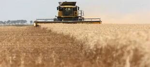 El trigo paga un 12% de retenciones cuando los países vecinos no tienen esa presión tributaria