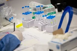Coronavirus en Argentina: casos en Aluminé, Neuquén al 4 de mayo