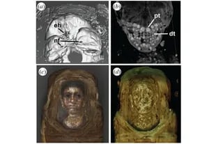 Conocida como "momia de retrato número 4 de Hawara", estaba decorada con el retrato de una mujer adulta, aunque en realidad contenía el cuerpo de una pequeña de cinco años