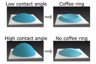 Un nuevo estudio descubrió el misterio detrás de los anillos de café y cómo podría hacer avanzar la investigación en el diagnóstico de sangre