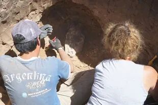 El cráneo de un tigre dientes de sable fue hallado en la construcción de una vivienda de calle 60 entre 125 y 127 de Necochea