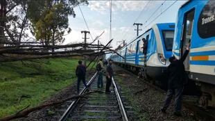 Se cayó una árbol en la vía del tren Roca y la línea presta un servicio reducido