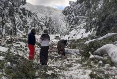 Bariloche: cómo están las rutas y los senderos tras el temporal de nieve