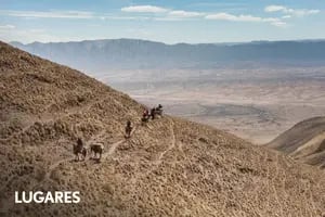 Seis días de una aventura inolvidable por valles, cerros y puestos rurales