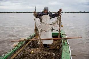La gran bajante del río Paraná de los últimos años, unido a la depredación de la pesquería, ocasionaron la disminución de la población de peces