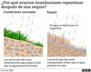 Si la lluvia cae en grandes cantidades y a gran velocidad, como ocurre con las tormentas eléctricas, el suelo no puede absorber la humedad