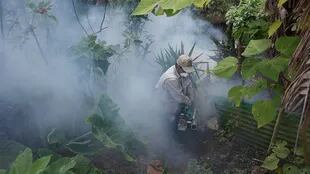 Otros métodos de control del mosquito del dengue incluyen la fumigación, pero esta debe mantenerse constantemente