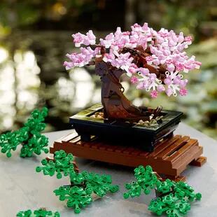 El bonsai permite un diseño personalizado en el que se pueden agregar flores