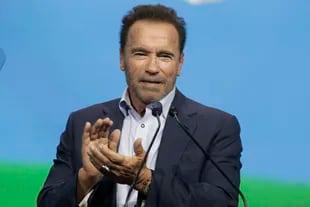 El actor Arnold Schwarzenegger 