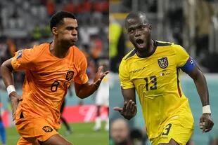 Gapko y Enner Valencia, goleadores del 1-1 entre Países Bajos y Ecuador