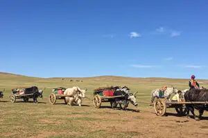 Mongolia. Viaje a la exótica estepa de nómadas y guerreros