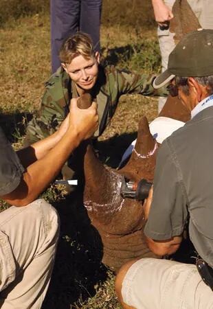 Charlene presenció cómo un veterinario quitaba los cuernos a un rinoceronte para evitar que sea presa de los cazadores furtivos