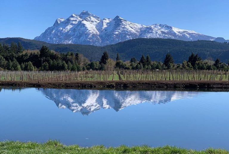 Desde Casa Yagüe, el valle de Trevelin, en Chubut, nueva IG para la vitivinicultura argentina