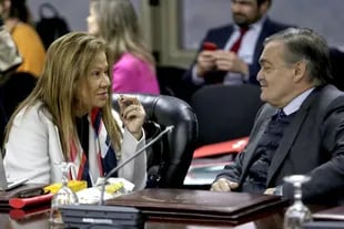 Graciela Camaño (consejera en representación del Congreso Nacional) y Alberto Lugones, durante una sesión del Consejo de la Magistratura 