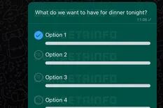 WhatsApp permitirá doce opciones en sus encuestas grupales