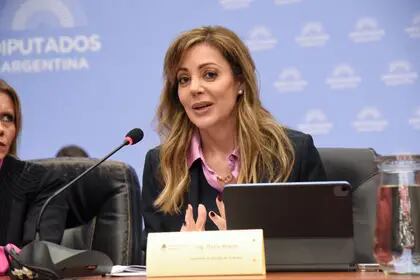 La secretaria de Energía, Flavia Royón, este martes en la Cámara de Diputados