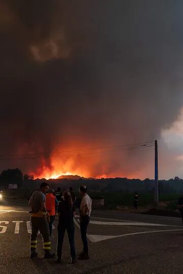 Más de 25.000 hectáreas fueron afectadas por el fuego