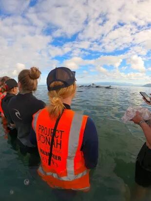 Fotografía del Facebook de Project Jonah, una organización benéfica de rescate de ballenas, mostrando rescatistas salvando docenas de ballenas piloto que vararon en un tramo de la costa de Nueva Zelanda en Farewell Spit, el 22 de febrero de 2021.

Credito Project Jonah/Facebook