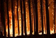 Corrientes quebró un récord en cantidad de incendios: cuántos tuvo