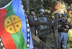 Un grupo mapuche ocupó un predio de Manu Ginóbili para evitar un desmonte