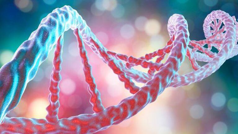 Las personas contagiadas que portan la variante genética de alto riesgo probablemente terminen teniendo más células infectadas y menos capacidad de curación